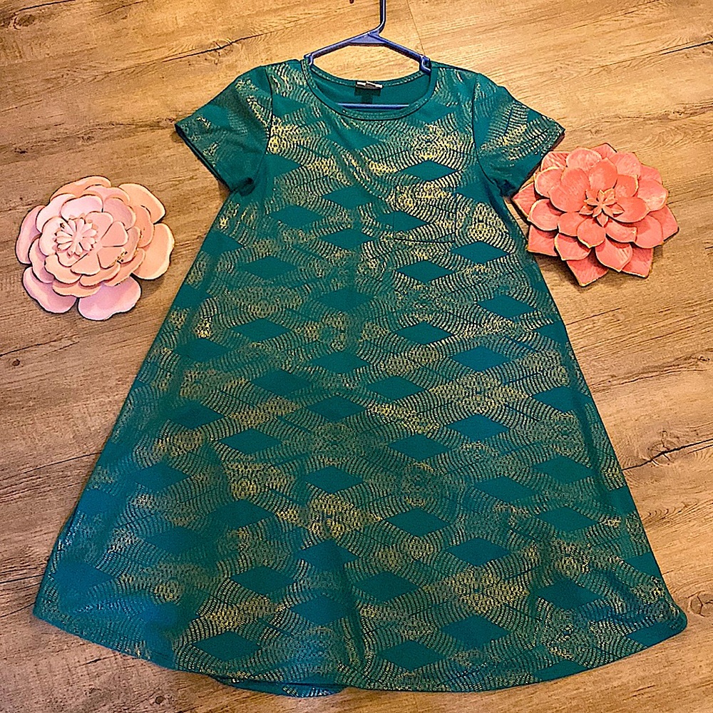 NWT (no tag) Lularoe Carly Dress XS